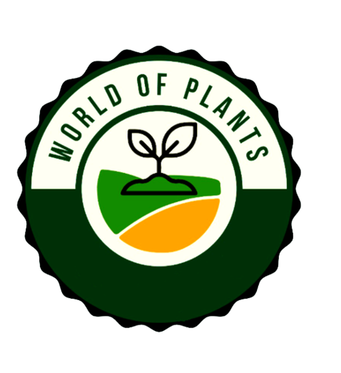 The world of Plants